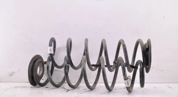 Rear coil spring