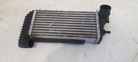 Ford Focus Intercooler radiator BV619L440CK