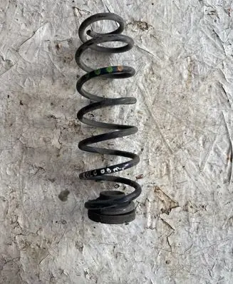 Rear coil spring