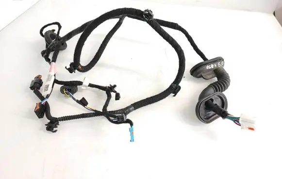 Tesla Model 3 Rear door wiring loom 306796600A