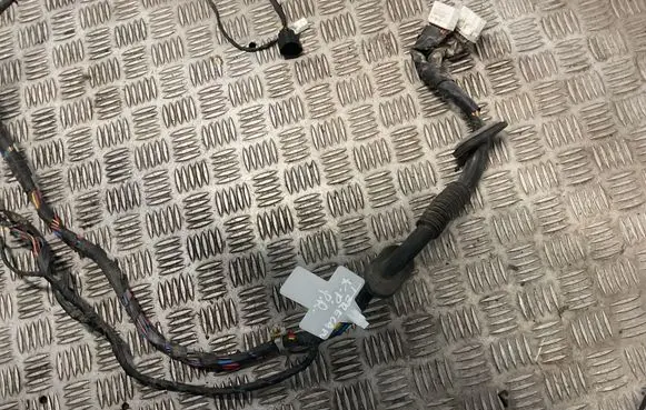 Hyundai Terracan Front door wiring loom