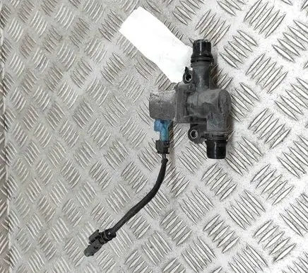 Peugeot 2008 II Electric auxiliary coolant/water pump 9832977580