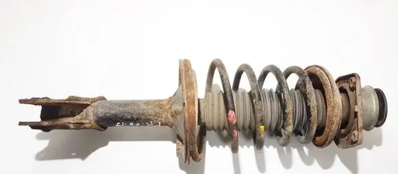 Fiat Doblo Front shock absorber/damper 51755248