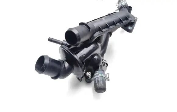 Thermostat/thermostat housing