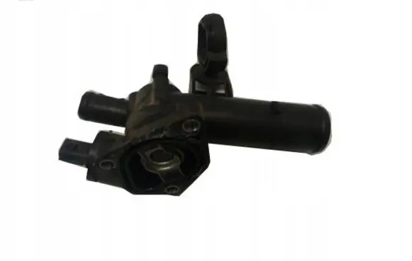 Thermostat/thermostat housing
