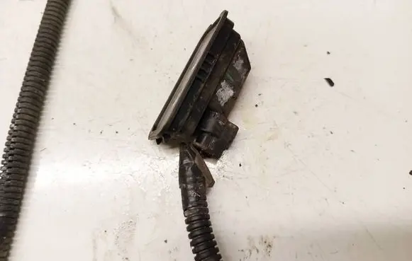 Opel Insignia B Number plate light 39068024