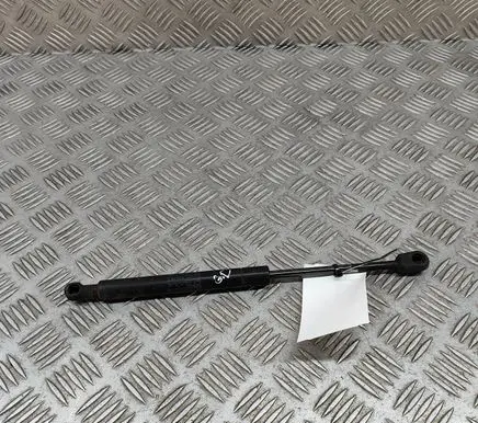 Tailgate/trunk strut/damper