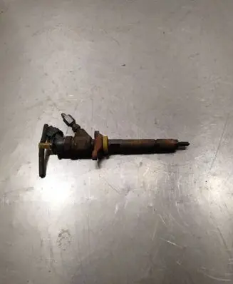 Peugeot 5008 Fuel injector 0445110297