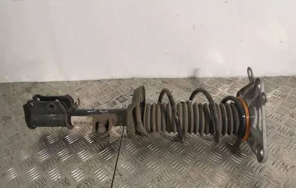 Jeep Renegade Rear shock absorber with coil spring 00521045150