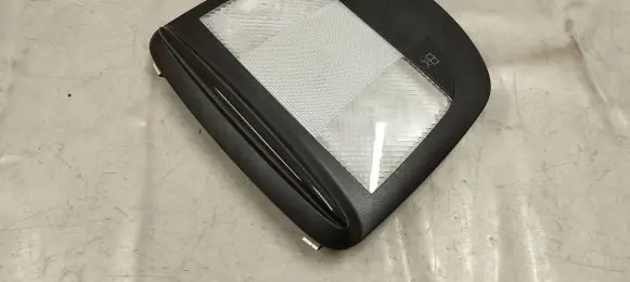 Rear seat light