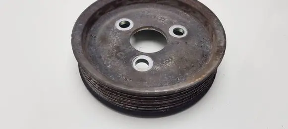Citroen Nemo Power steering pump pulley 51817135