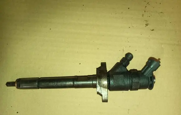 Citroen C4 I Fuel injector 0445110297
