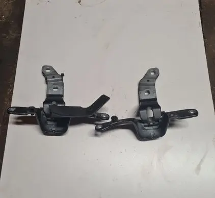 BMW 5 GT F07 Tailgate/trunk/boot hinge 7200533 7200534