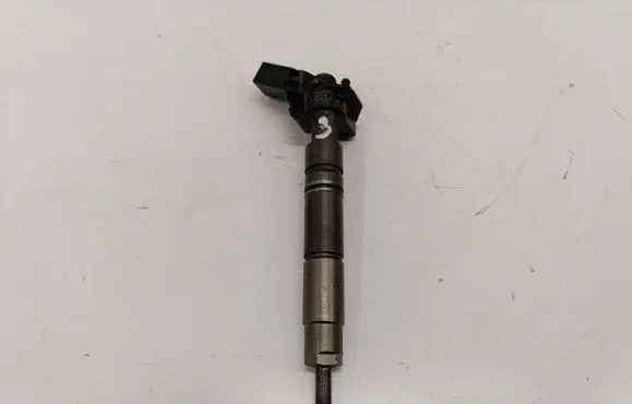 Mercedes-Benz R W251 Fuel injector A6420701387