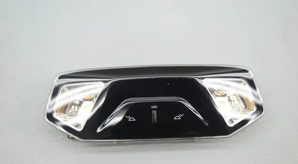 BMW X1 U11 Front seat light 5A79599