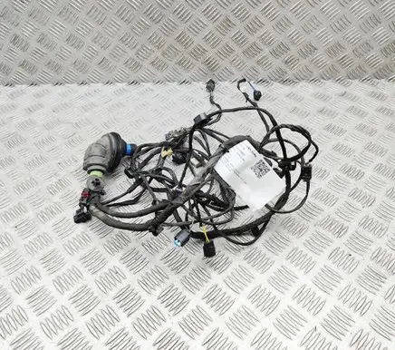 BMW X2 U10 Parking sensor (PDC) wiring loom 5B36093
