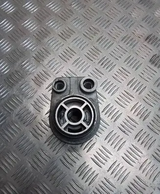 Nissan Juke I F15 Oil filter mounting bracket 8200779744