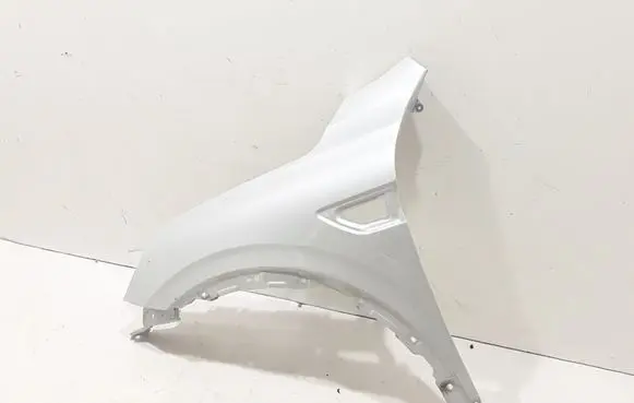 Renault Arkana Fender 631012956R