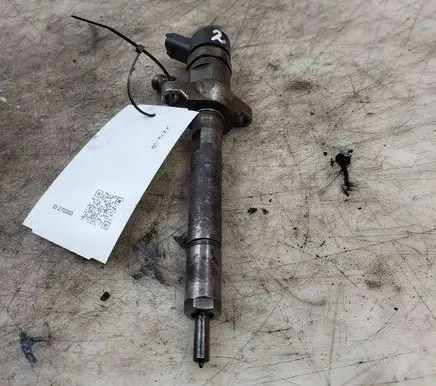 Peugeot Partner Fuel injector 0445110239