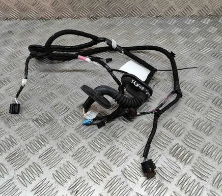 Tesla Model 3 Rear door wiring loom 206796500B