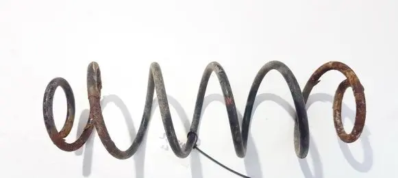 Citroen C3 Rear coil spring