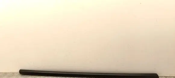 Tesla Model Y Door glass trim 149571100D
