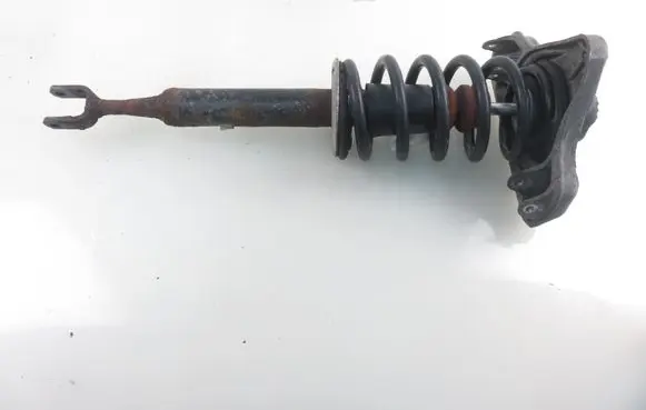 Audi A4 S4 B7 8E 8H Front shock absorber with coil spring 8E0413031DD