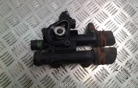 Thermostat/thermostat housing