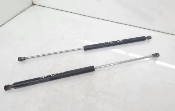 Tailgate/trunk strut/damper