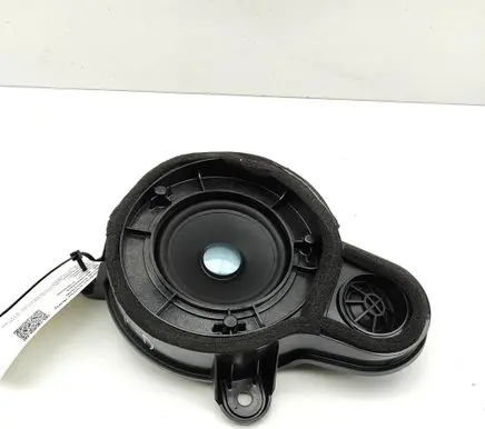 Mercedes-Benz CL C216 Rear door speaker A2168202802
