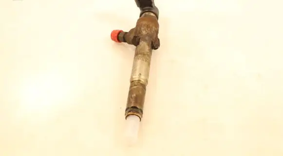 Renault Megane II Fuel injector 8200380253