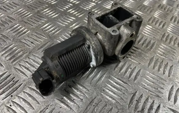 EGR valve