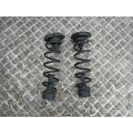 Nissan Qashqai Rear coil spring