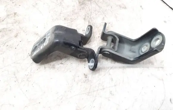 Renault Koleos I Front door hinge set TEGXA