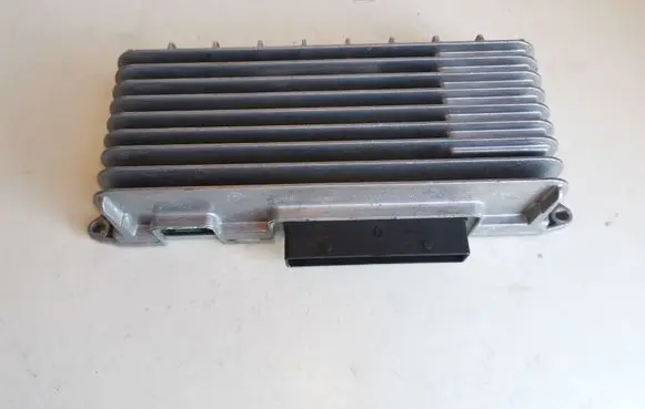 Sound amplifier
