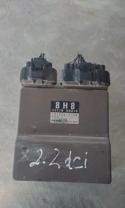 Nissan Primera Fuel injection control unit/module 227108H810