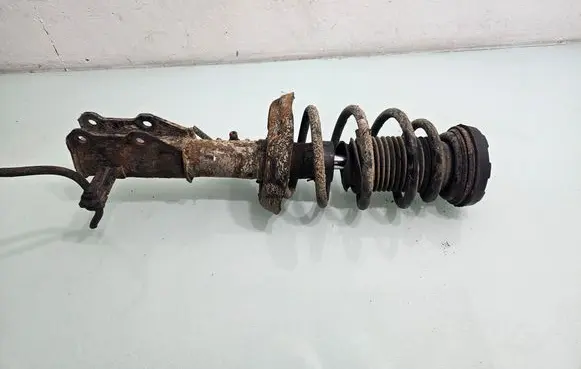 Opel Insignia A Front shock absorber with coil spring