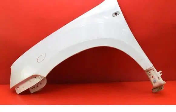Dacia Duster Fender