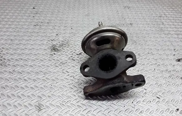 Volkswagen PASSAT B4 EGR valve 028131501E