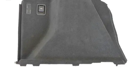 BMW 3 GT F34 Trunk/boot side trim panel 7325339