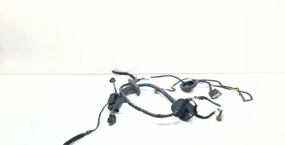 Front door wiring loom