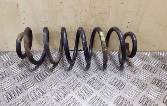 Volkswagen PASSAT B7 Rear coil spring
