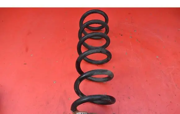 Ford Escape III Rear coil spring 