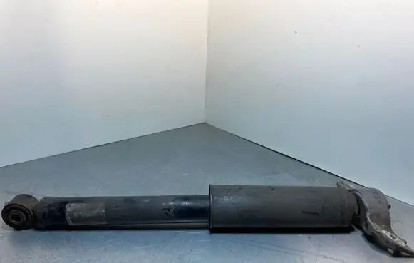 Opel Insignia A Rear shock absorber/damper 3114202