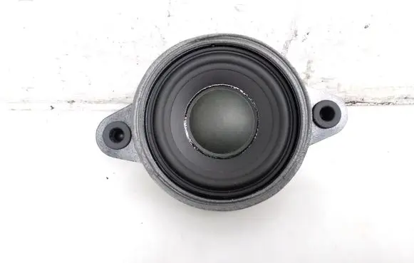 Panel speaker