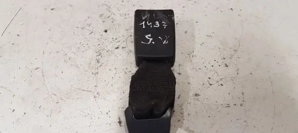 Middle seatbelt buckle (rear)