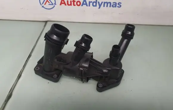 Thermostat/thermostat housing