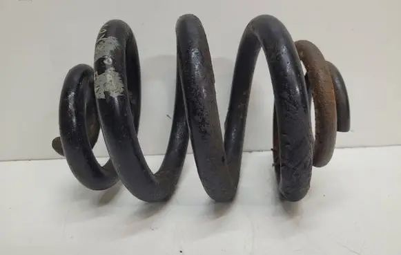 Rear coil spring