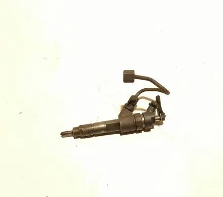 Fiat Ducato Fuel injector 0445120002