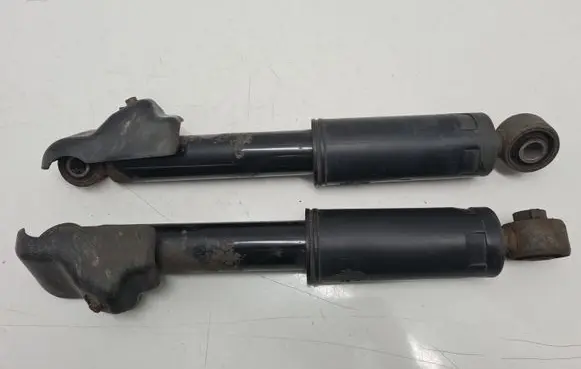 Hyundai Santa Fe Rear shock absorber/damper 553102W610